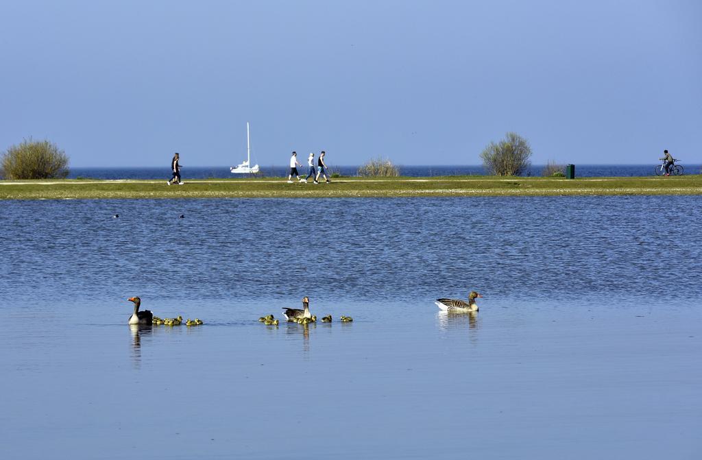 Ijsselhof Villa Type Medemblik 6 Andijk Eksteriør billede